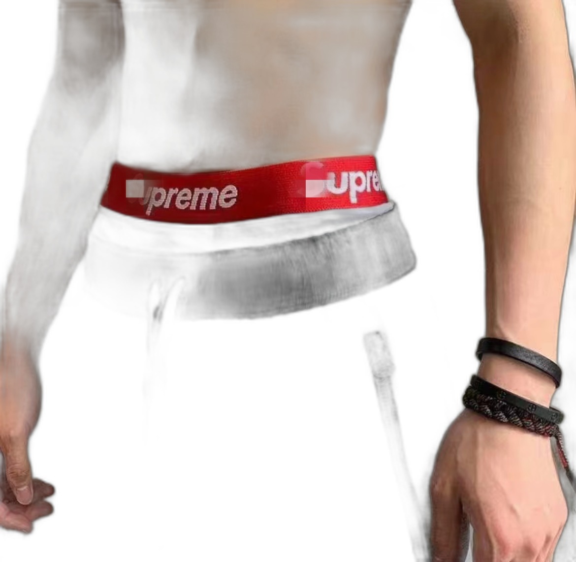 Supreme Shorts