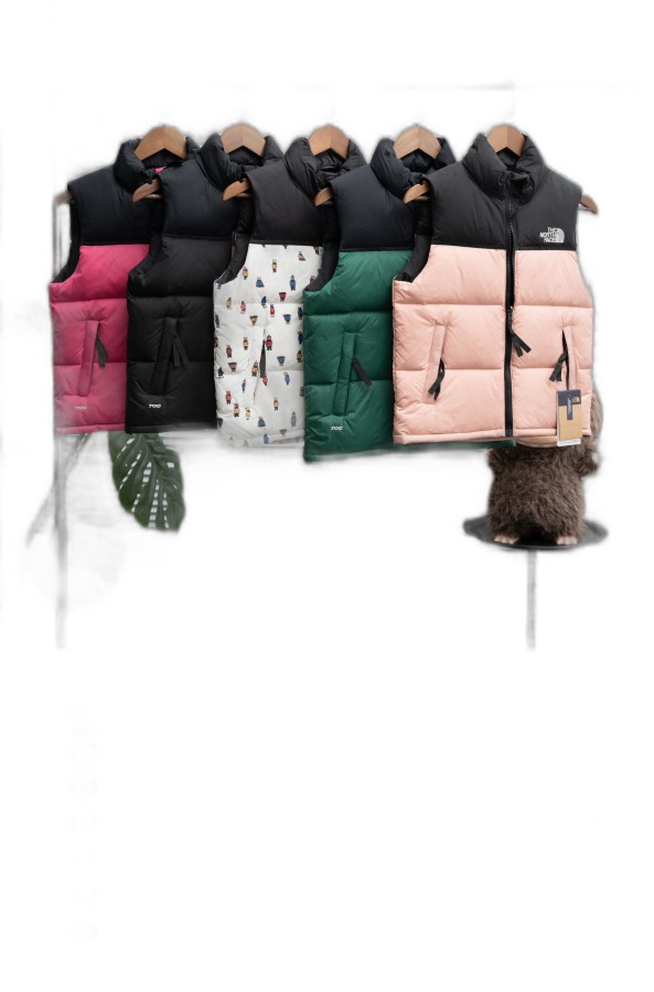 The North Face Puffer Jacket