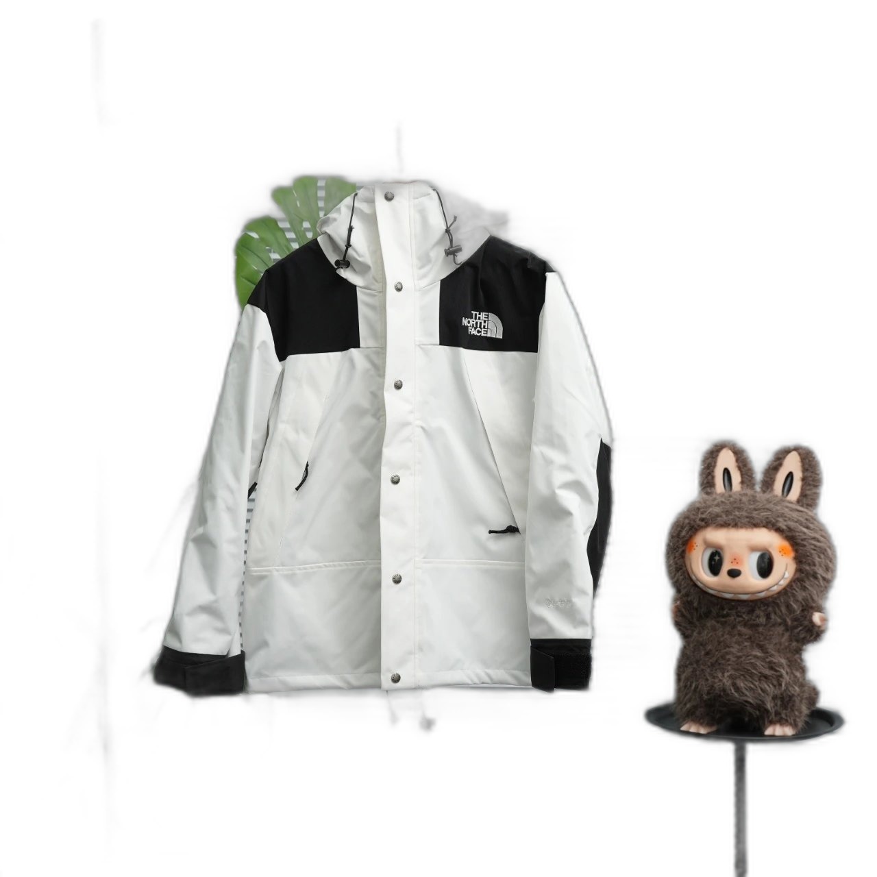 The North Face Jacket