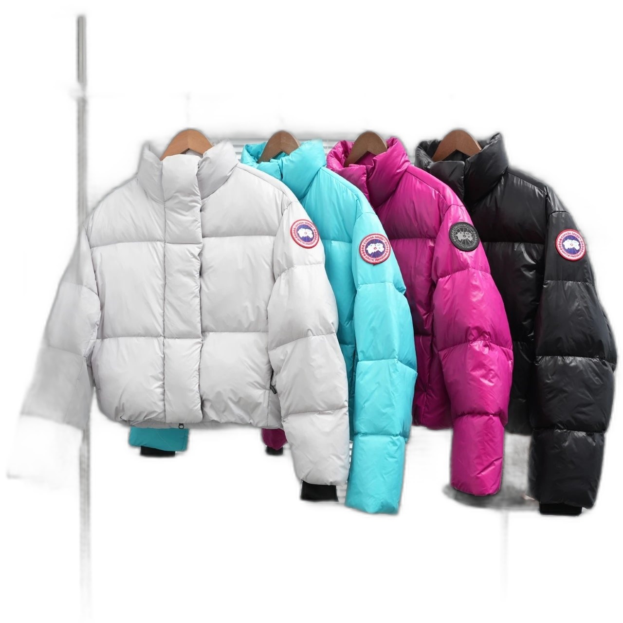 Canada Goose Jacket